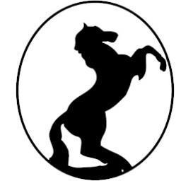 RealEstateBanus's profile picture. Наш опыт работы на рынке недвижимости гарантия качества.