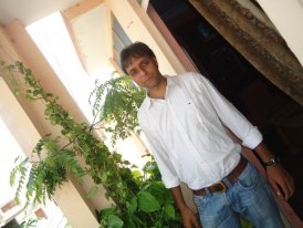CEO @ Mass Infratech & Consultancy Services
