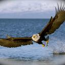 James Sartor - @Eagleman2009j - Twitter