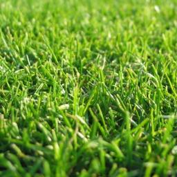 akucukcinar's profile picture. Ali KÜÇÜKÇINAR