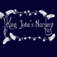 Harry Cunningham (@kingjohnnursery) 's Twitter Profile