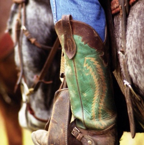 Bestcountry9's profile picture. Tweeting the best country lyrics around