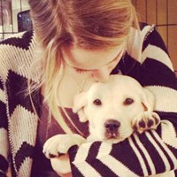 I'm fan of @bridgitmendler is the best love so much you bridgit ♥ My song favorite is https://t.co/JBF5Tw9sPm ♥ My star favorite is @bridgitmendler ♥♫☼