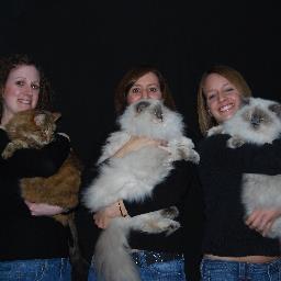 gracefocused's profile picture. loves Jesus