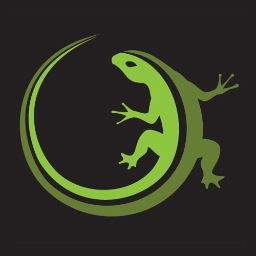A small indie game dev team.