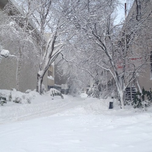 Susan92563's profile picture. 