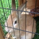 holly prince - @hollybooprince - Twitter