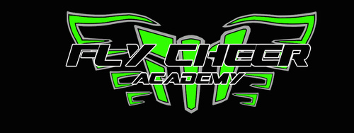 FLYCheerAcademy's profile picture. 