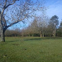 Future ferme à vision permaculturelle sur le Parc Naturel Régional de la Haute Vallée de Chevreuse, sur la commune de Longvilliers. #teintures #permaculture