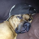 Shawn Bauer - @__Genesiss__ - Twitter