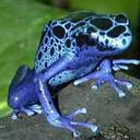 Reymond Sanchez - @ElCoqui420 - Twitter