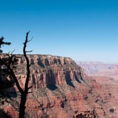 CSUSMS's profile picture. Crystal Springs Uplands Middle School
Tweeting from the 6th Grade Grand Canyon Trip