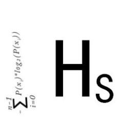 Extraordinary concepts in physics, chemistry and biology.