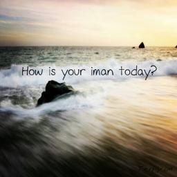 Islam is all the supplements you need :)