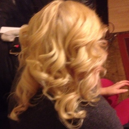 dodgyburd1's profile picture. 