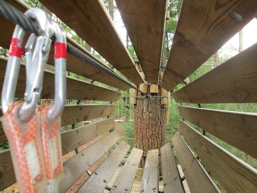 KlimbosBraWal's profile picture. 