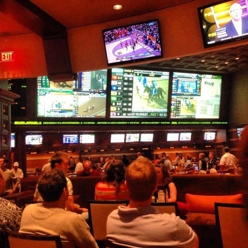 Harry_Coverman's profile picture. 