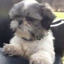 Nancy Sams - @NesamsNsams - Twitter