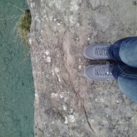ana (@camandulera) 's Twitter Profile