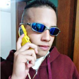 Investimento é certo e a firma não vai falir E isso só acaba quando o último cair