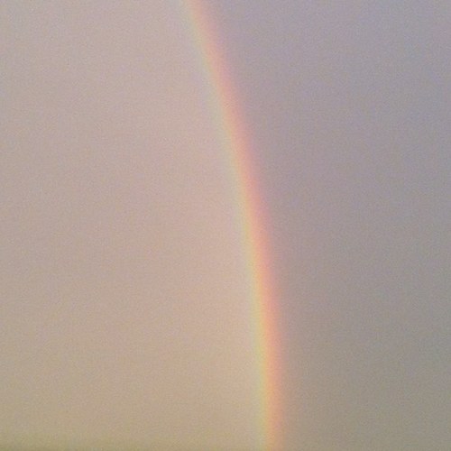 DiegoMandara's profile picture. 