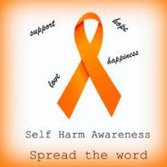 we're here to make more people aware of self harm and depression. we're here for anyone that needs to talk about a problem / needs advice. we always follow back