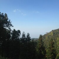 mayuya  padula (@mayuyap) 's Twitter Profile