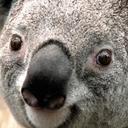 Alexander Levi - @JesusHorseMTL - Twitter