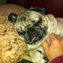 Robin Osborn - @RobinOsbornATX - Twitter