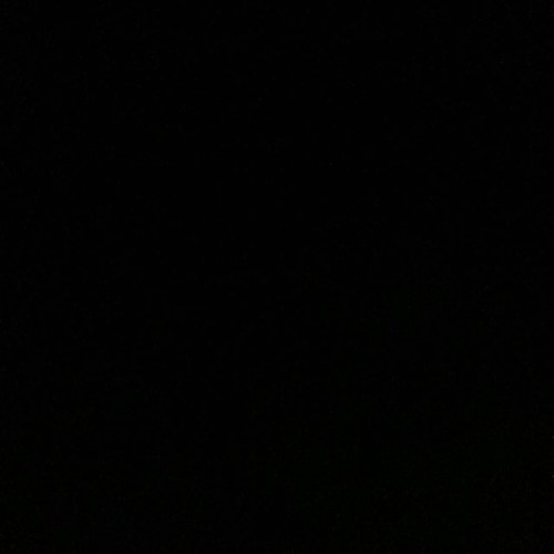 carolemedhat's profile picture. 