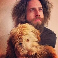 elan gale(@theyearofelan) 's Twitter Profile Photo