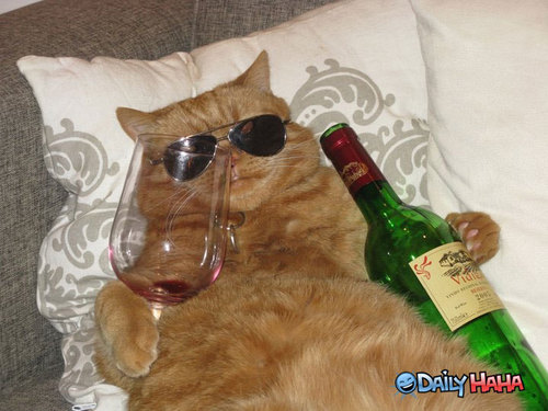 Full-time College student Part-time party goer.