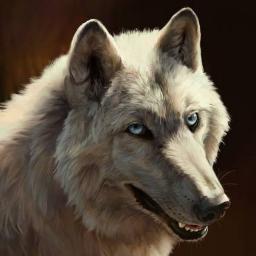 wolfmirak's profile picture. 