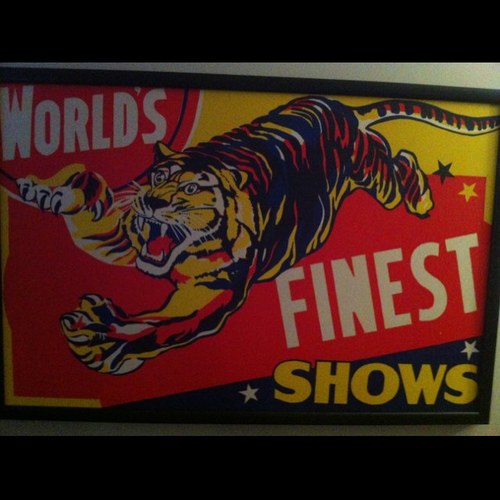 PatrickJamieso1's profile picture. 