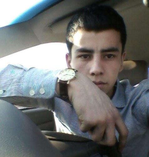Toymurad  Profile