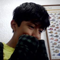 Estudiante 2 de secundaria en la escuela cultural mexiquense/otaku/me gusta cantar pero no en publico.