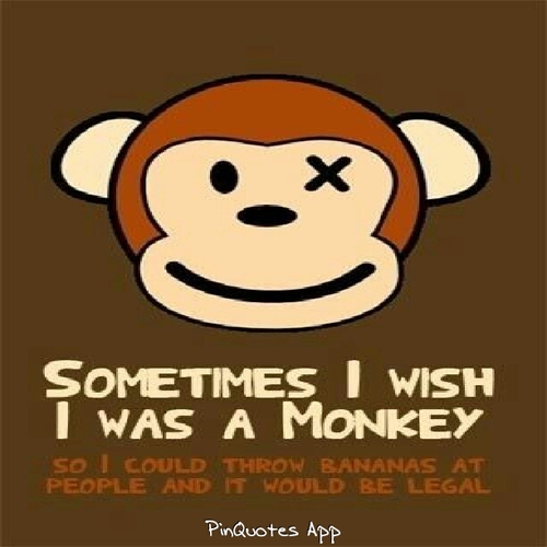 follow i follow back :)