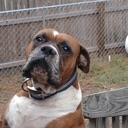 alan - @AlanParnell - Twitter