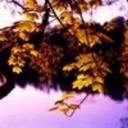 Nelson Little - @NelsonLittle5 - Twitter