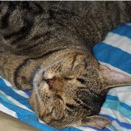 btacina's profile picture. 