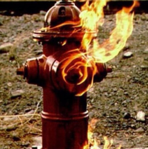 Crobb1782's profile picture. dad, husband, fireman. my views expressed on here are my own views and do not represent any organization or entity.