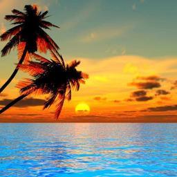 GleekRPG's profile picture. 