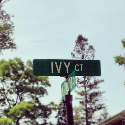 OrderInTheCt's profile picture. Beauty and Feauty central.