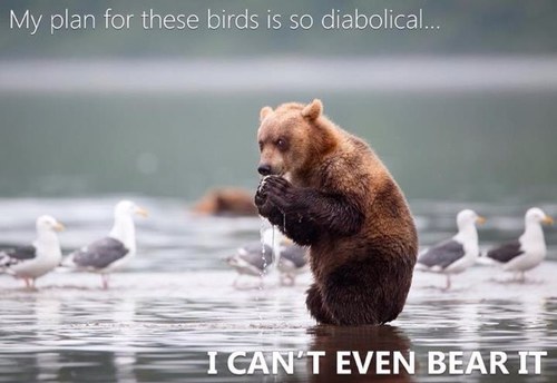 Evil genius, not the apple kind. Intellectual jock.