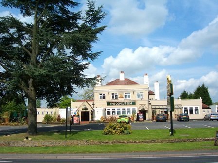 Copcut Elm, Hungry Horse.  A friendly local that caters for everyone! :-)