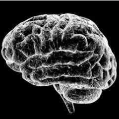 Hey there! I'm the nervous system! My job is to send and receive messages throughout the body. The muscular system and I work together to move your body.