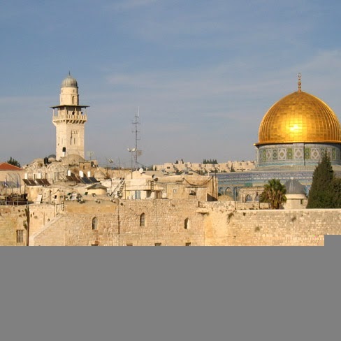 padrepio66's profile picture. 