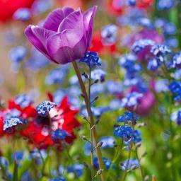 SusanMauriello's profile picture. A wife of 38 years to my soulmate. A mom, a mom-in-law, a nana, a daughter, a sister, a sister-in-law, an aunt & a good friend. I'm living a very blessed life.