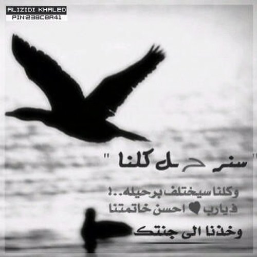 إلـــهي لا تحرم فيصل عفوك ومغفرتگ وقد أنقطع عمله ولا حول لهـ ولا قوة،اللهم أرحم ضعفه وقله حيلتهـ وآنس وحشتهـ ونوّر قبره وأفسح له فيه مد بصره يا كريـــم !!