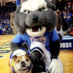 SpikeAtDrake's profile picture. I'm Spike, the Drake Bulldog!  Tweeting about my happenings on campus and in DSM. If you'd like my services, @ reply or DM me! (Not an official Drake account.)